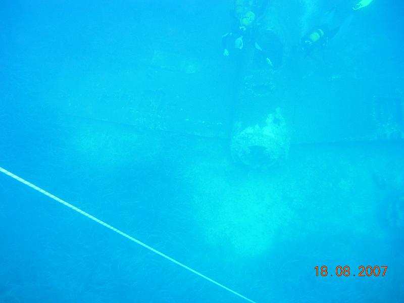 DSCN5867